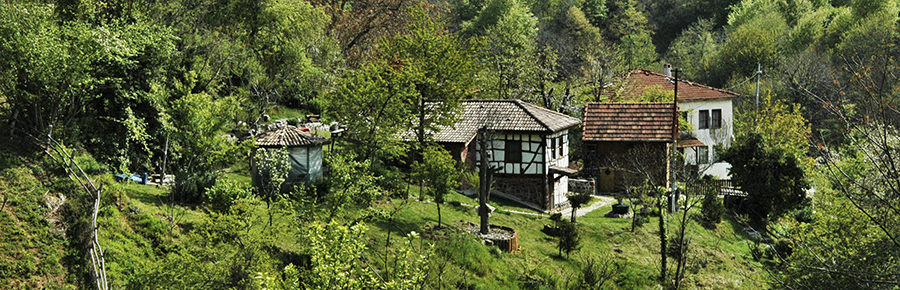 El otoño ofrece múltiples opciones en Istanbul y alrededores